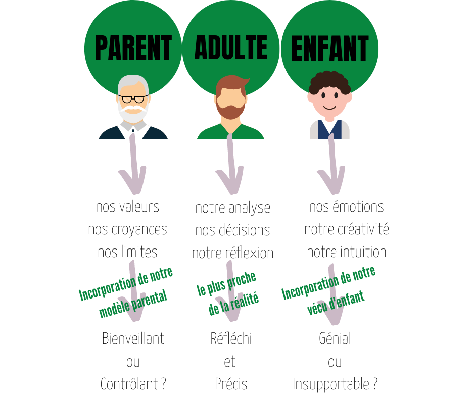 Adulte-Parent-Enfant